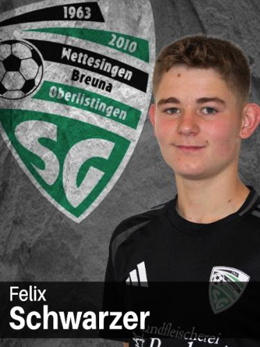 Felix Schwarzer